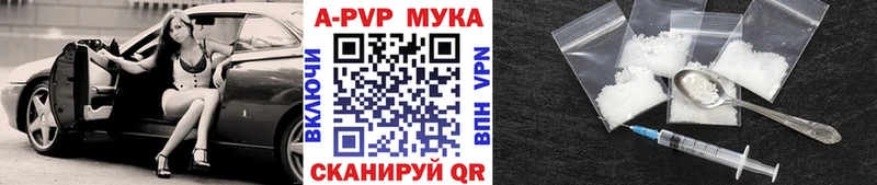 Alfa_PVP СК Калач-на-Дону