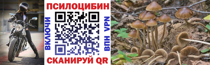 купить  сайты  Калач-на-Дону  Галлюциногенные грибы ЛСД 